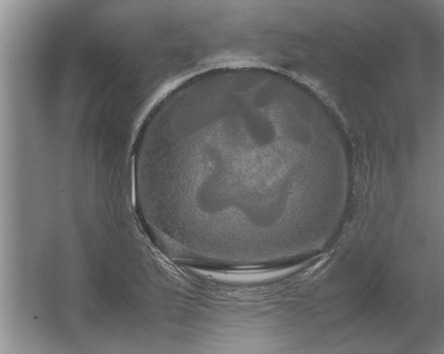 X0000062621175200512281522