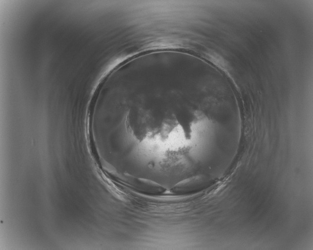 X0000062621179200512281521