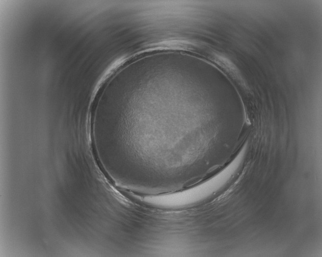 X0000062621180200512281521