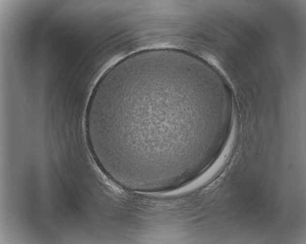 X0000062621181200512281521