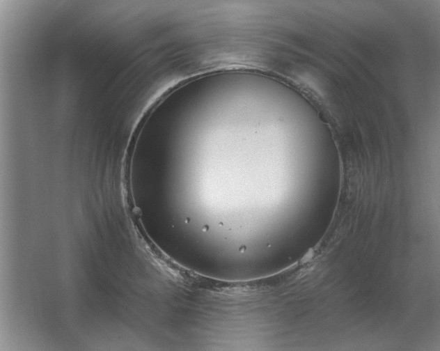 X0000062621182200512281521