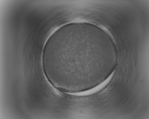 X0000062621183200512281521