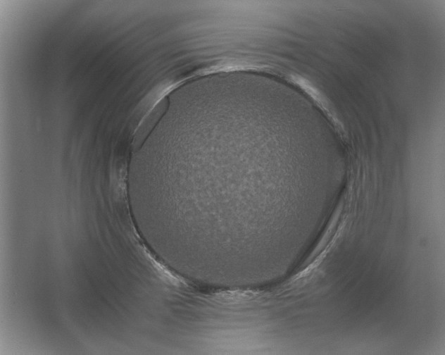 X0000062621185200512281521