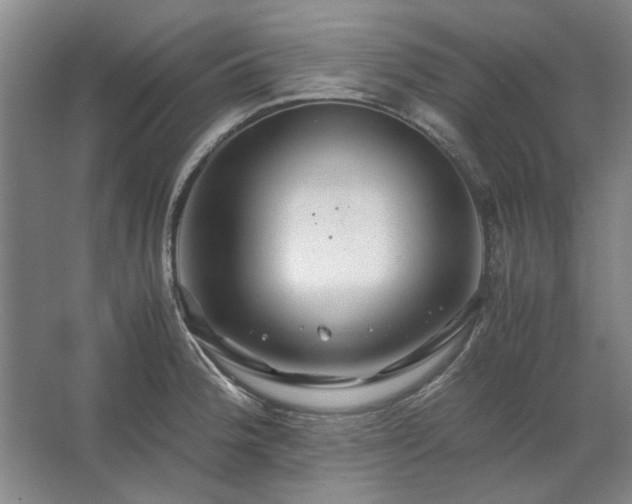 X0000062621188200512281521