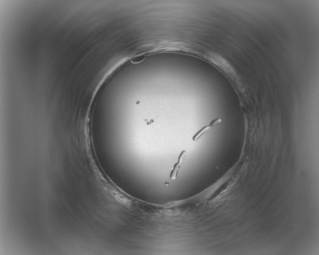 X0000062621190200512281521