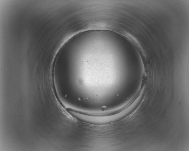 X0000062621192200512281521