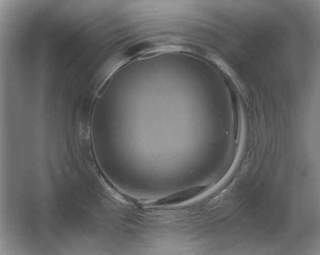 X0000062621193200512281521