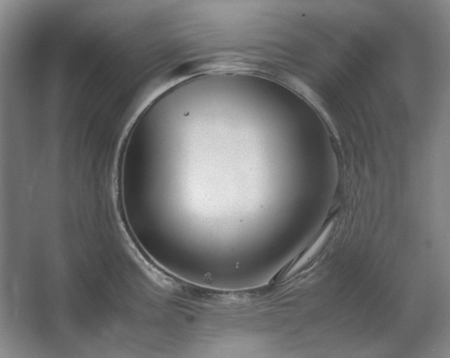 X0000062621195200512281521