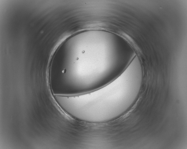 X0000062621196200512281521