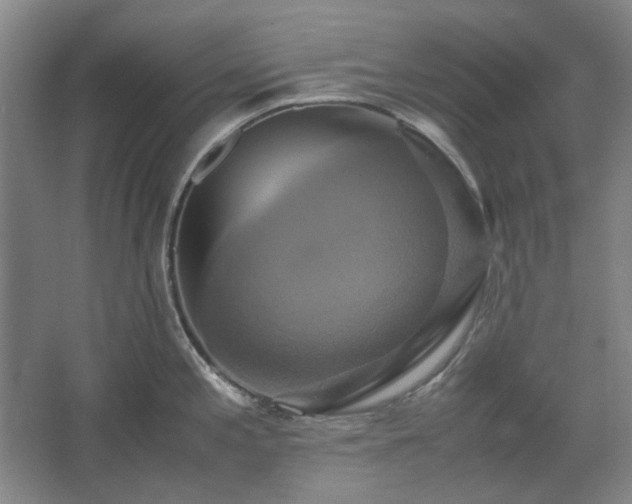 X0000062621197200512281521