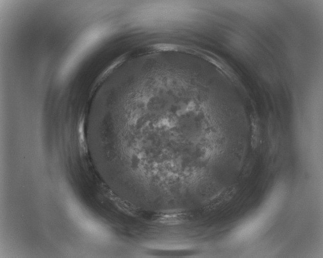 X0000062621198200512281521