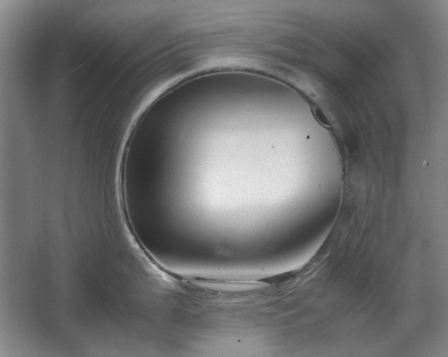 X0000062621199200512281521