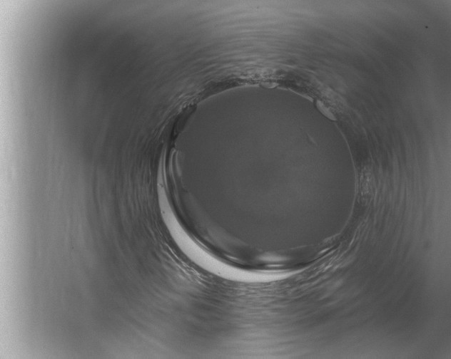 X0000062621202200512281520