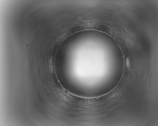 X0000062621203200512281520