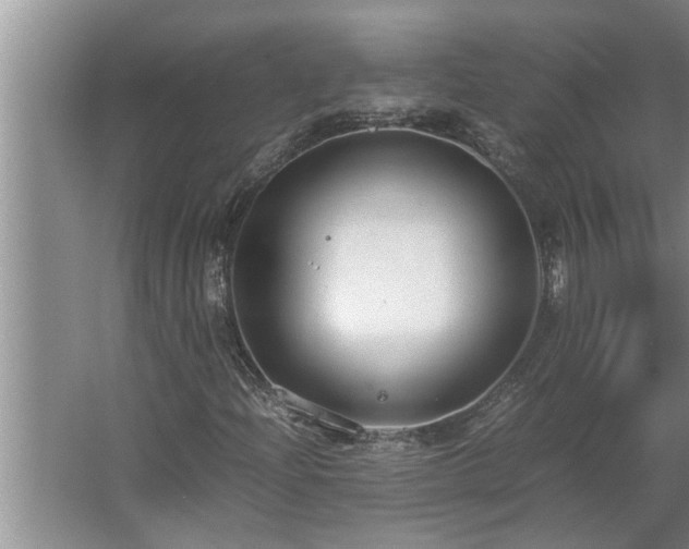 X0000062621204200512281520