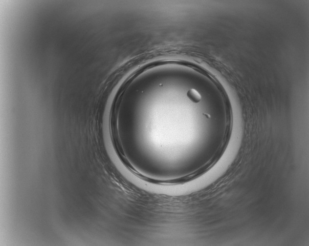 X0000062621206200512281520