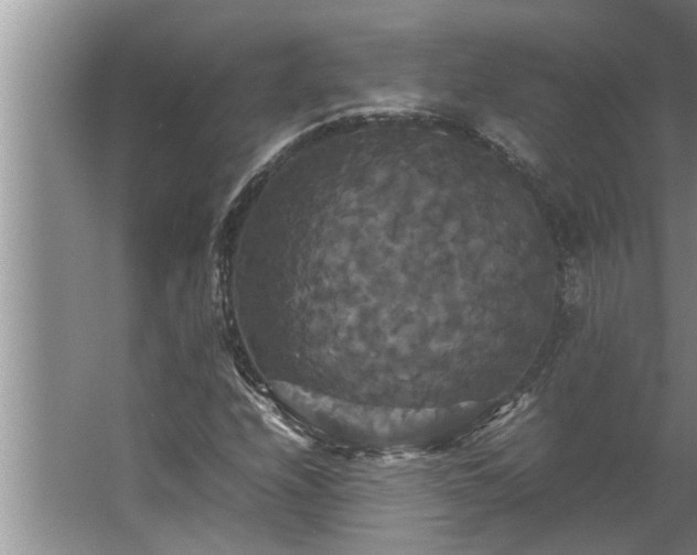 X0000062621208200512281520