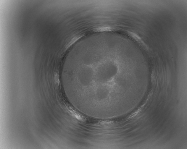 X0000062621209200512281520