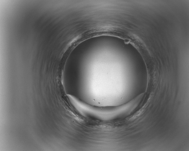 X0000062621210200512281520