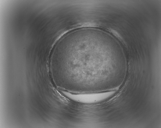 X0000062621212200512281520