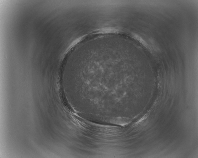 X0000062621213200512281520