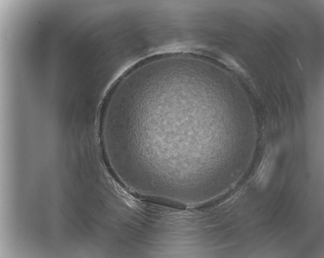 X0000062621216200512281521