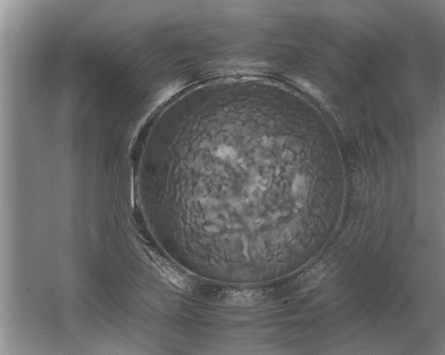 X0000062621219200512281521