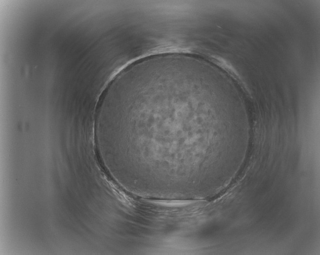 X0000062621220200512281521