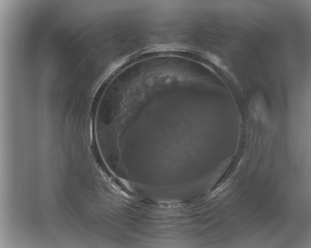 X0000062621221200512281521