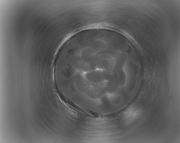 X0000062621224200512281521