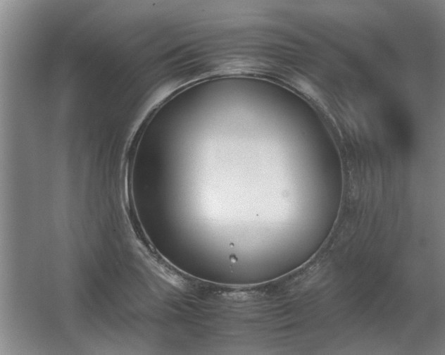 X0000062621227200512281521