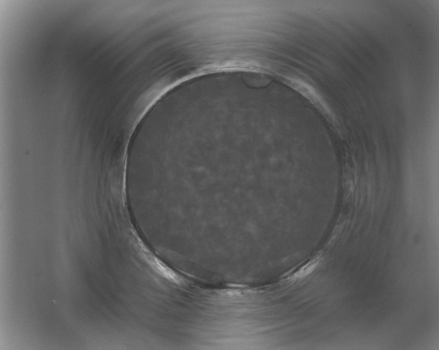 X0000062621228200512281521