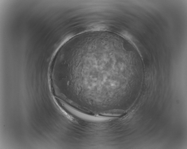 X0000062621235200512281521