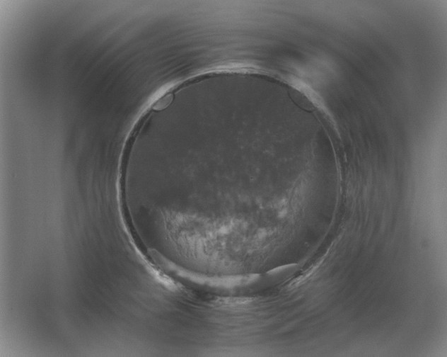 X0000062621237200512281521