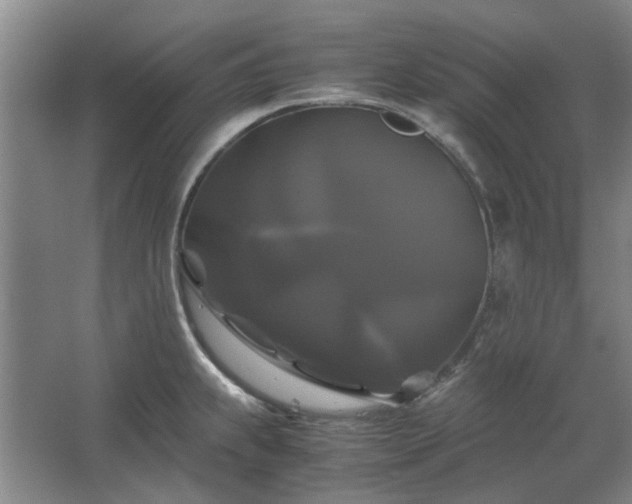 X0000062621239200512281521