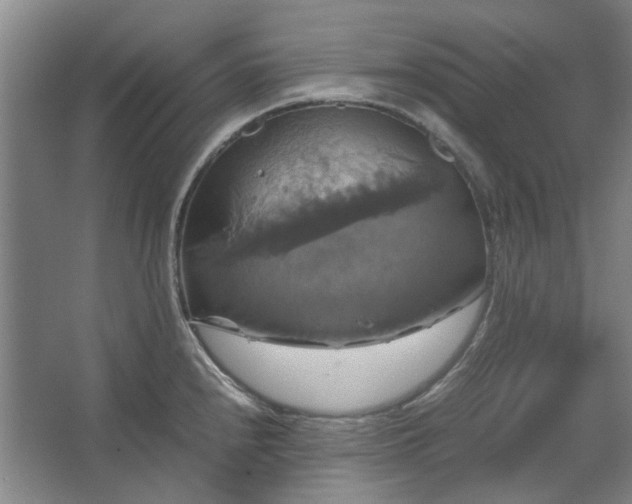 X0000062621240200512281521