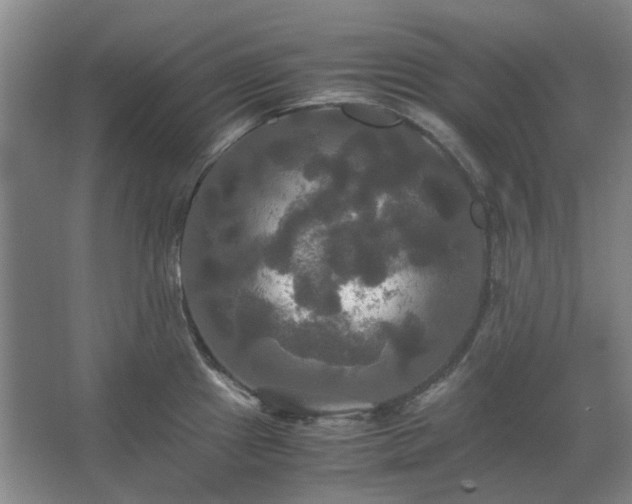 X0000062621241200512281521