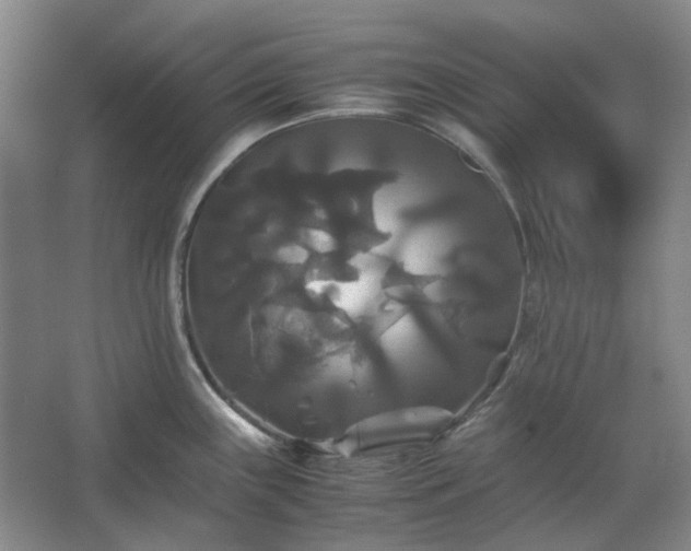 X0000062621243200512281521