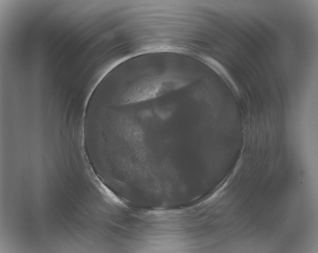 X0000062621244200512281521