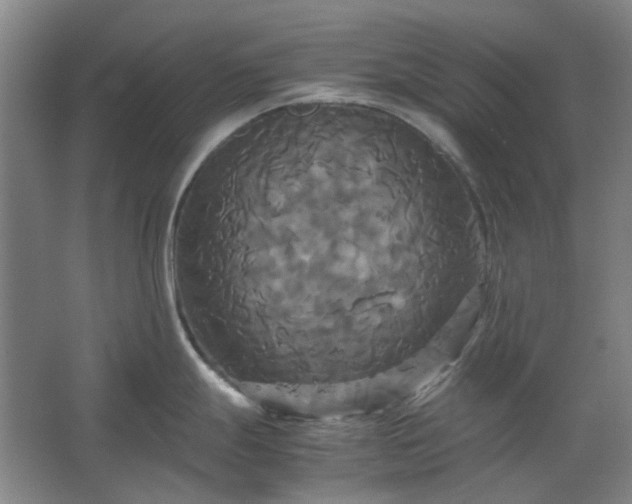 X0000062621247200512281521