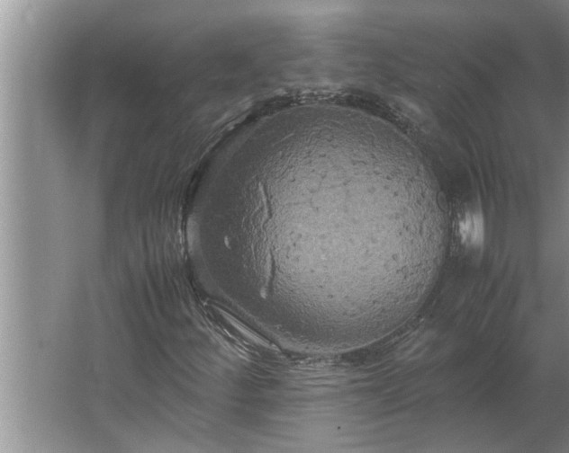 X0000062621252200512281520