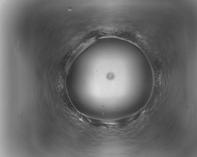 X0000062621253200512281520