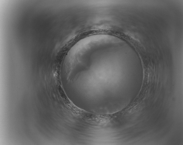 X0000062621254200512281520