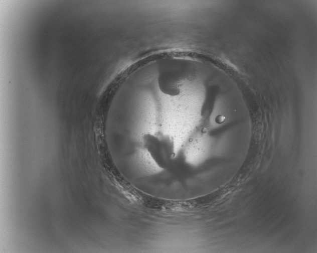 X0000062621255200512281520