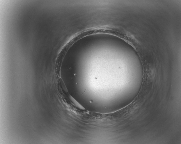 X0000062621256200512281520