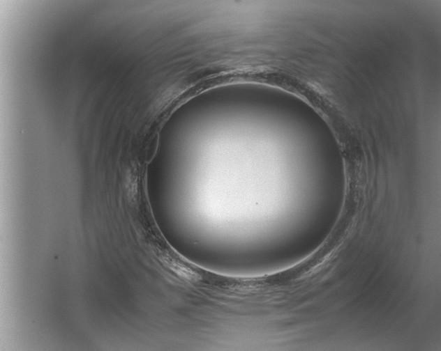 X0000062621257200512281520