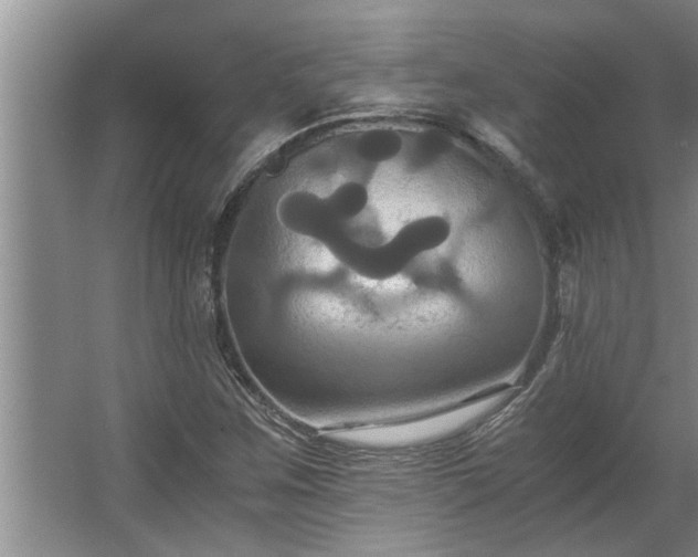 X0000062621259200512281520