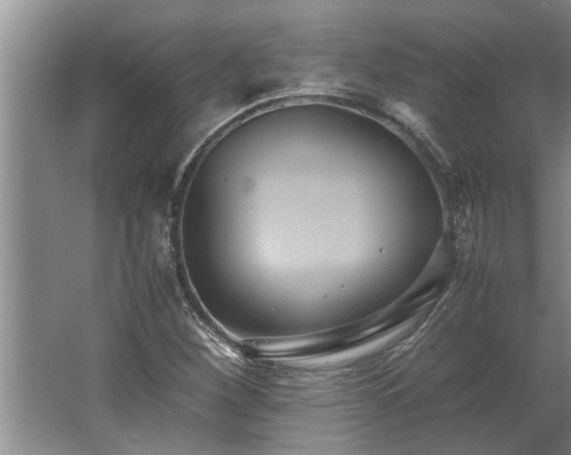 X0000062621260200512281520