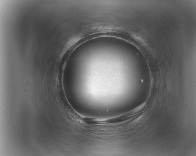 X0000062621261200512281520