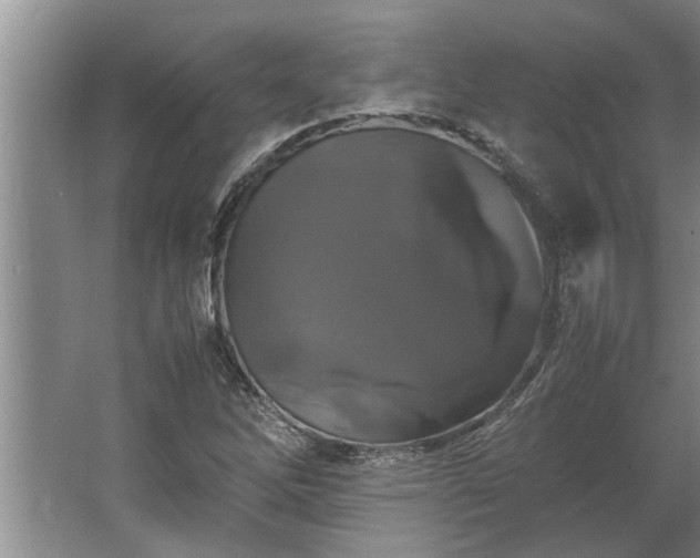 X0000062621262200512281520